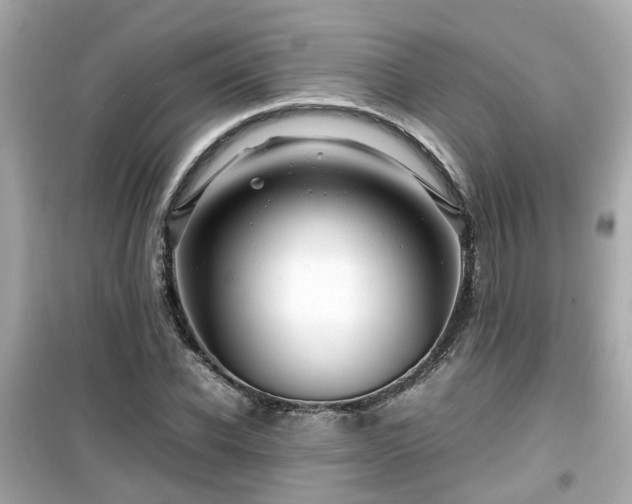 X0000099490926200805221334