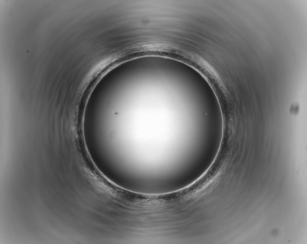 X0000099490930200805221334