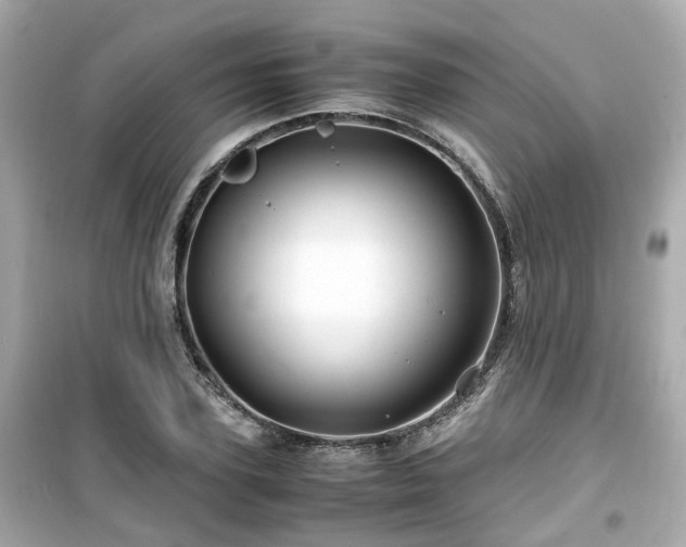 X0000099490931200805221334