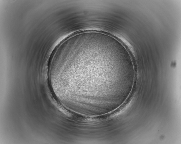 X0000099490933200805221334