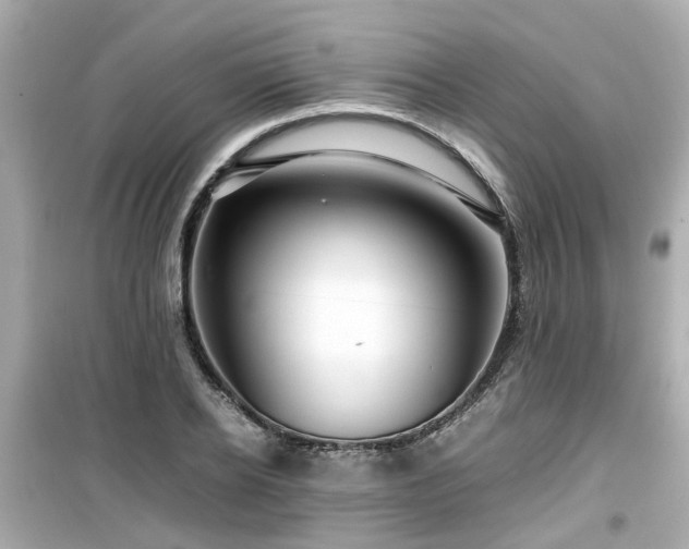 X0000099490934200805221334