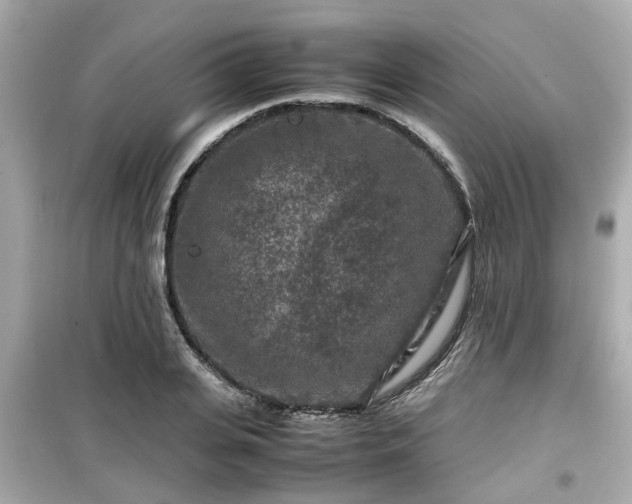 X0000099490935200805221334