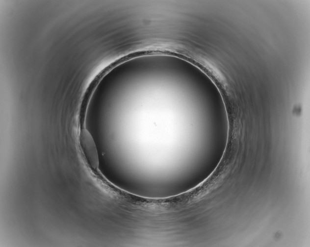 X0000099490936200805221334