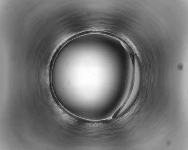 X0000099490939200805221334