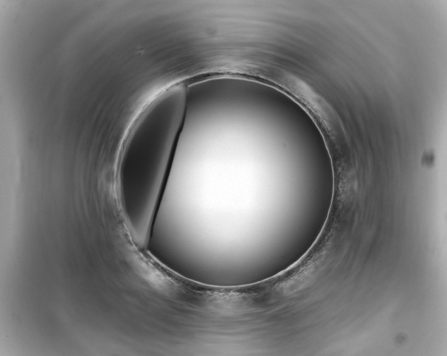 X0000099490940200805221334