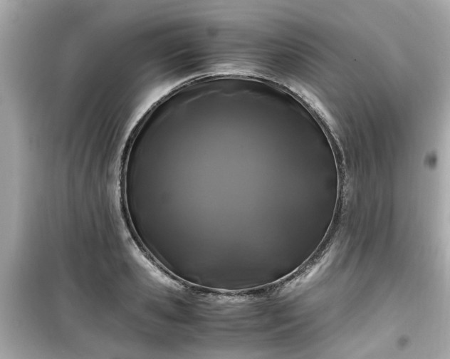 X0000099490941200805221334