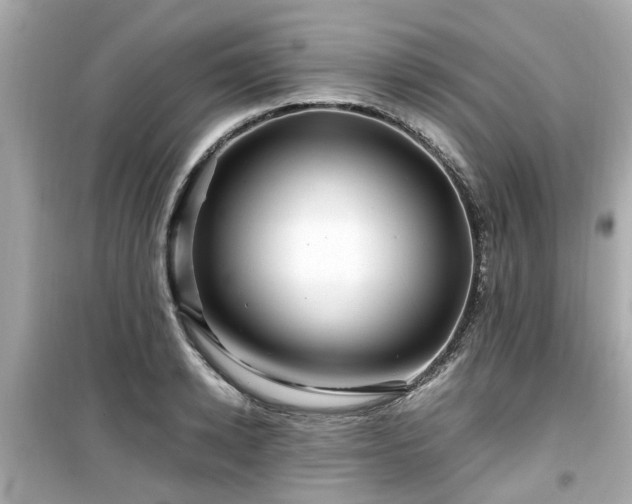 X0000099490942200805221334