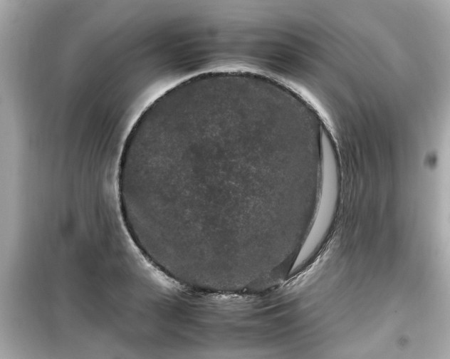 X0000099490943200805221334