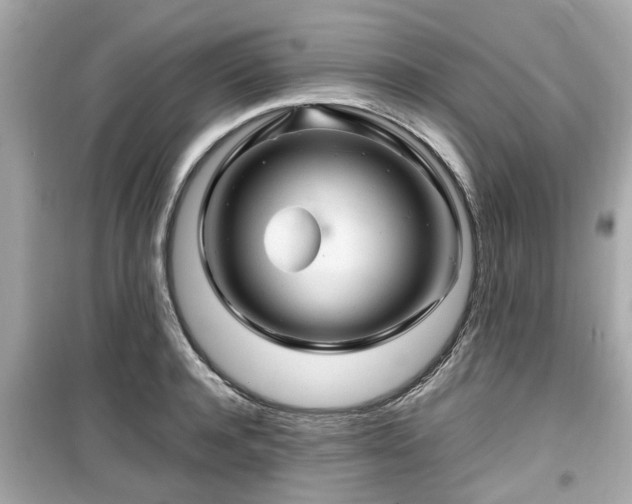 X0000099490944200805221334