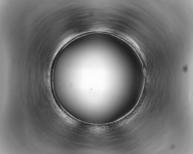 X0000099490947200805221335