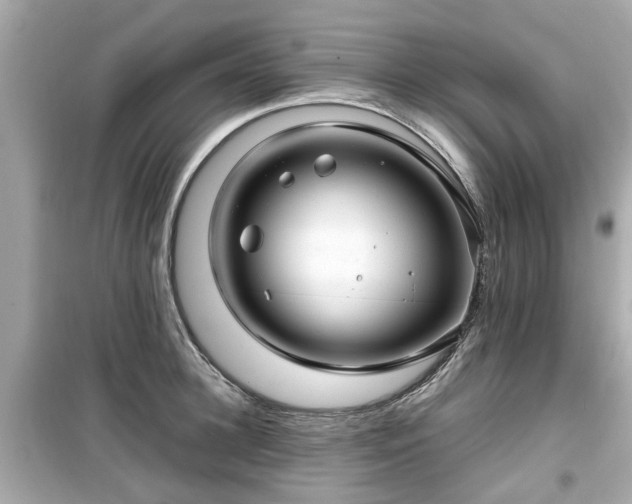 X0000099490948200805221335