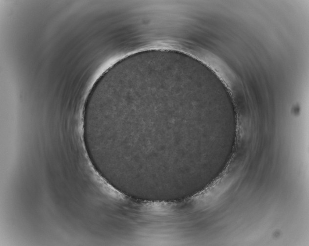 X0000099490950200805221335