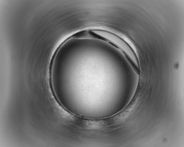 X0000099490951200805221335
