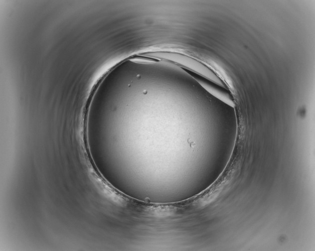 X0000099490952200805221335