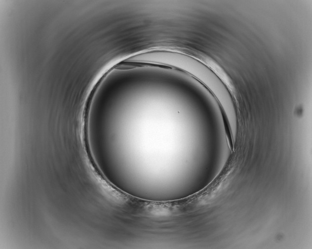 X0000099490955200805221335