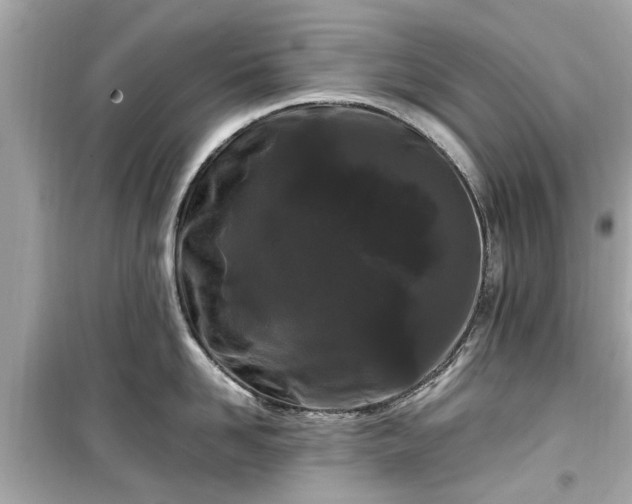 X0000099490958200805221335