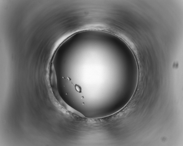 X0000099490960200805221335