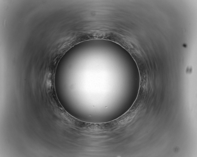X0000099490962200805221334