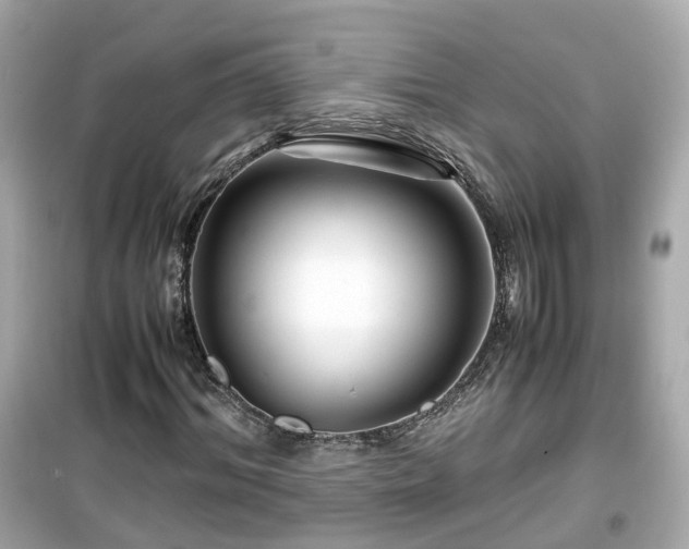X0000099490964200805221334