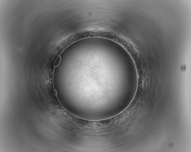 X0000099490966200805221334