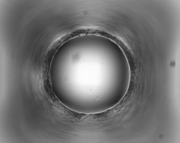X0000099490967200805221334