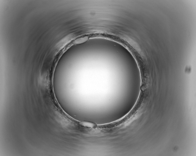 X0000099490969200805221334