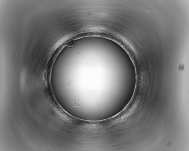 X0000099490970200805221334