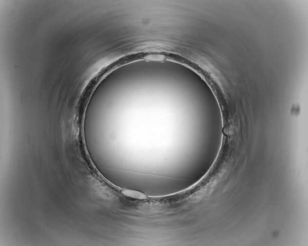 X0000099490973200805221334