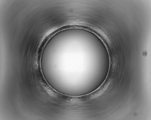 X0000099490974200805221334