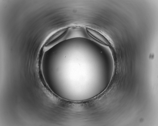 X0000099490976200805221334