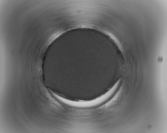 X0000099490977200805221334