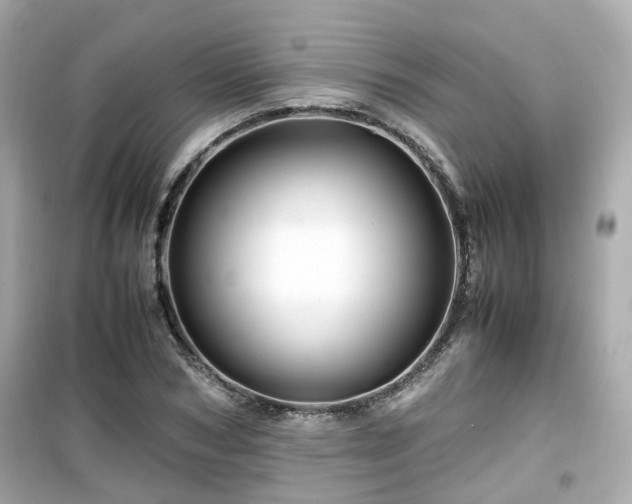 X0000099490978200805221334