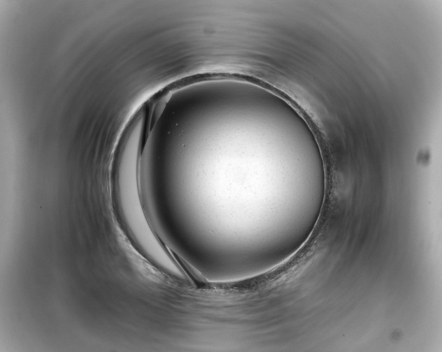 X0000099490980200805221334