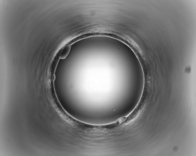 X0000099490981200805221334