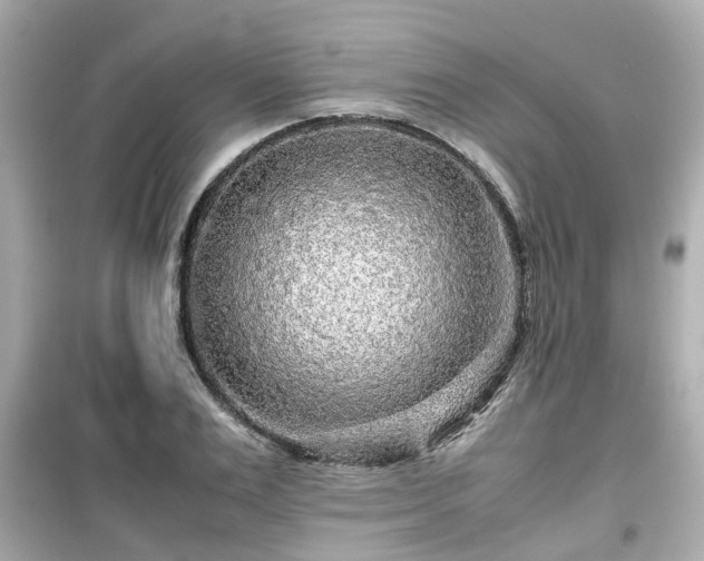 X0000099490983200805221334