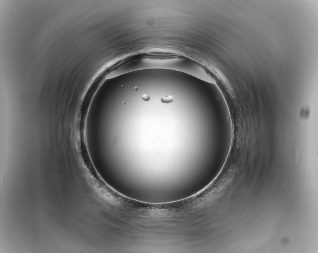 X0000099490984200805221334
