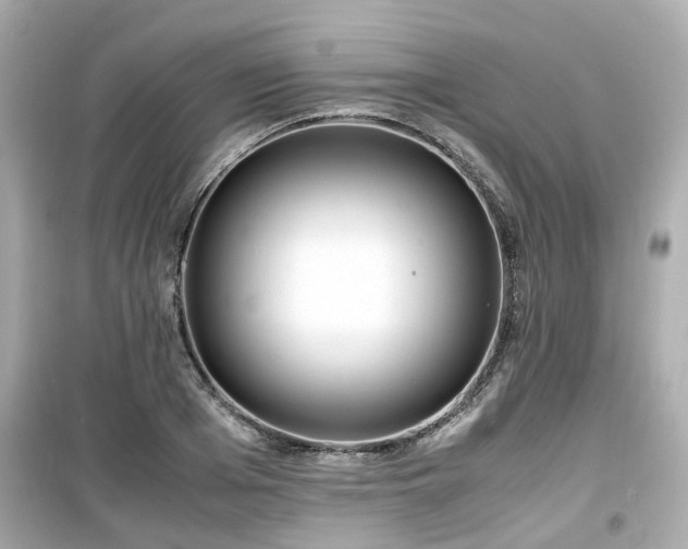 X0000099490985200805221334