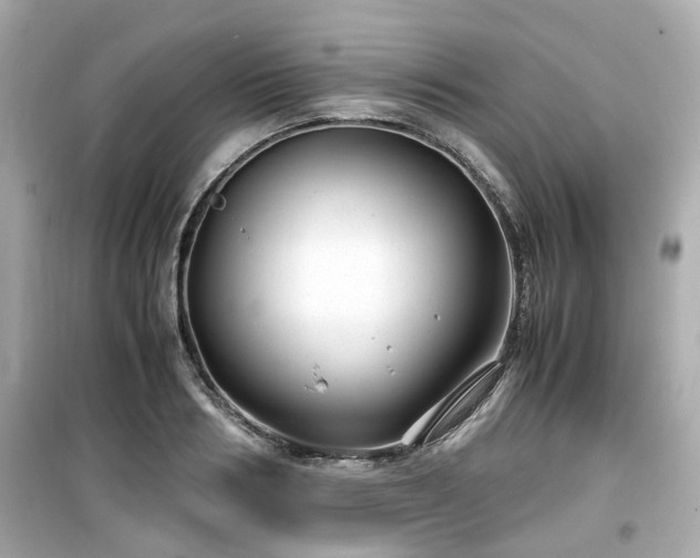 X0000099490986200805221334