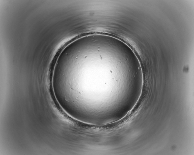 X0000099490987200805221334
