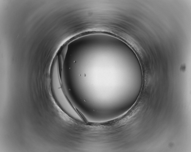 X0000099490988200805221334