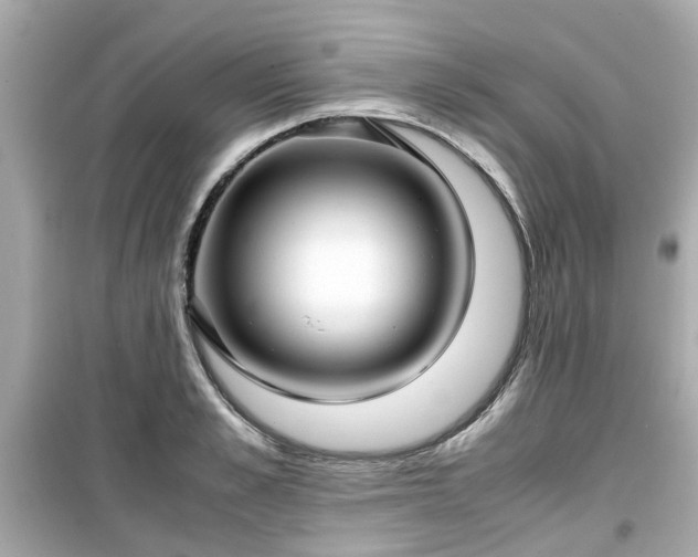 X0000099490989200805221334