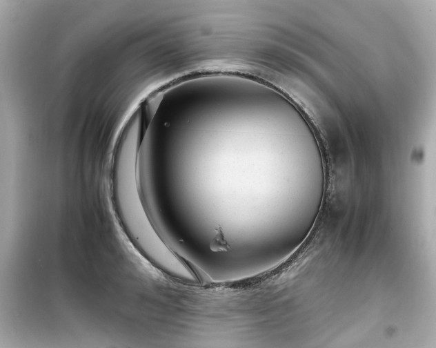X0000099490992200805221333