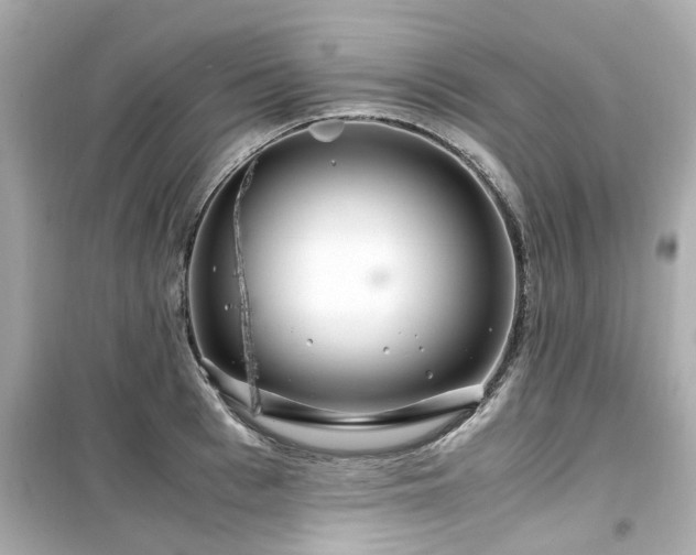 X0000099490993200805221333
