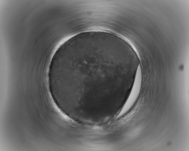 X0000099490995200805221333