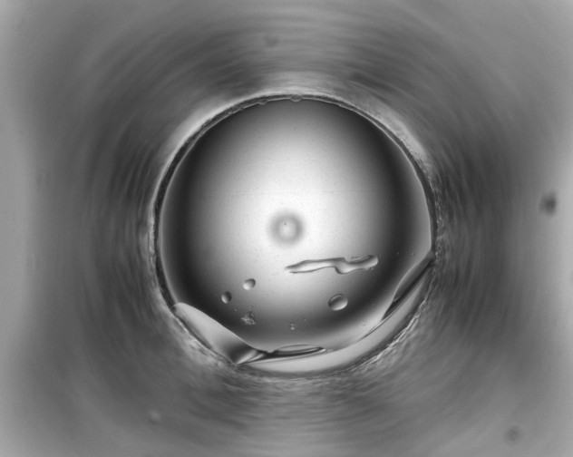 X0000099490996200805221333