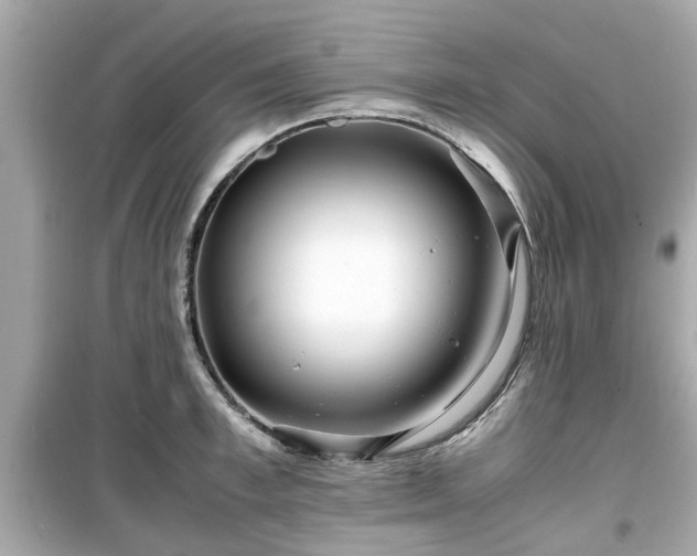 X0000099490997200805221333