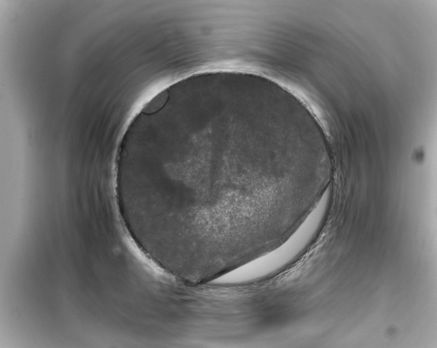 X0000099490998200805221333
