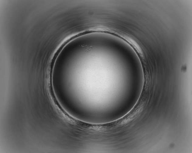 X0000099491000200805221333