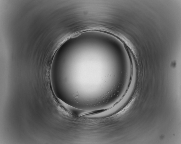 X0000099491001200805221333
