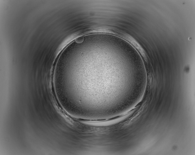 X0000099491002200805221333
